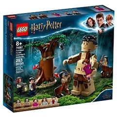 LEGO Harry Potter : La Forêt interdite